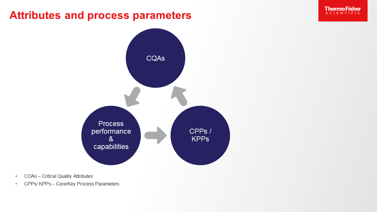 IMAGE SLIDE 2