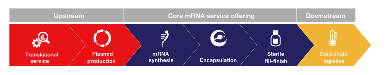 Thermo Fisher core mRNA Services