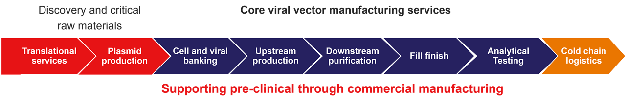 Core viral vector manufacturing services workflow