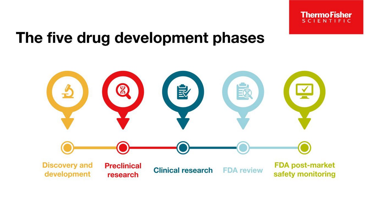 The 5 Drug Development Phases Patheon pharma services